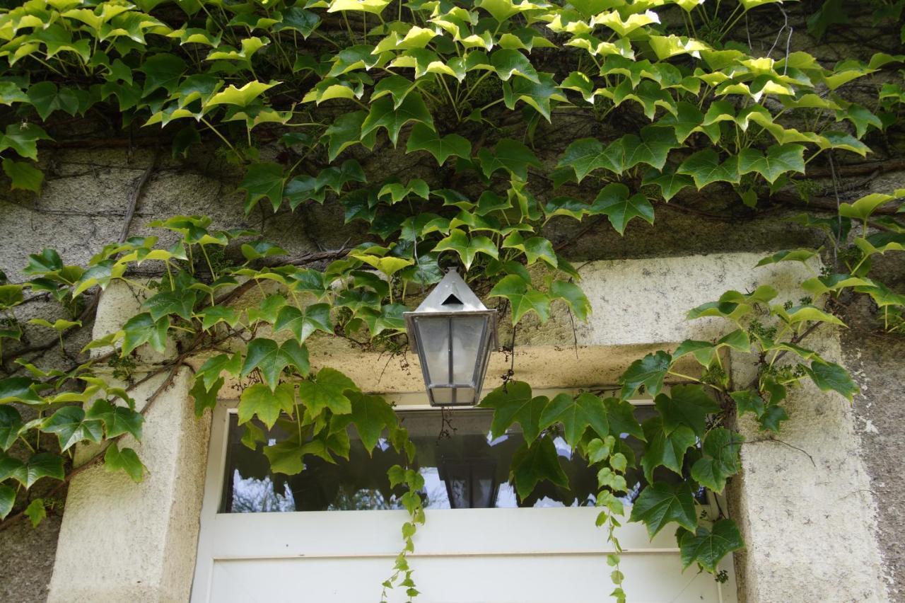 Vakantiehuis 'maison Des Artistes' For Up To 15 In Nature Park